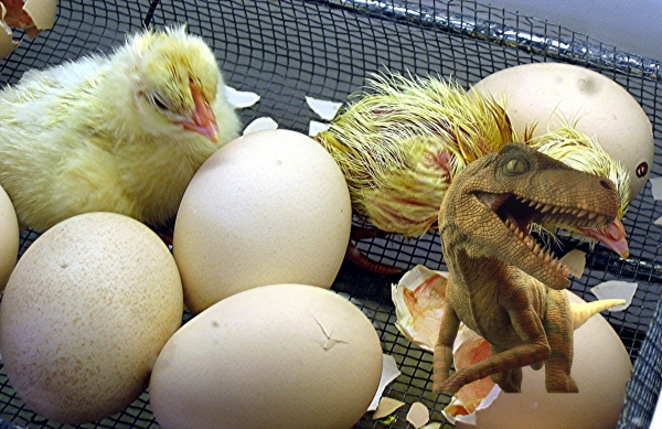 Creation of Newly Hatched Surprise: Step 6